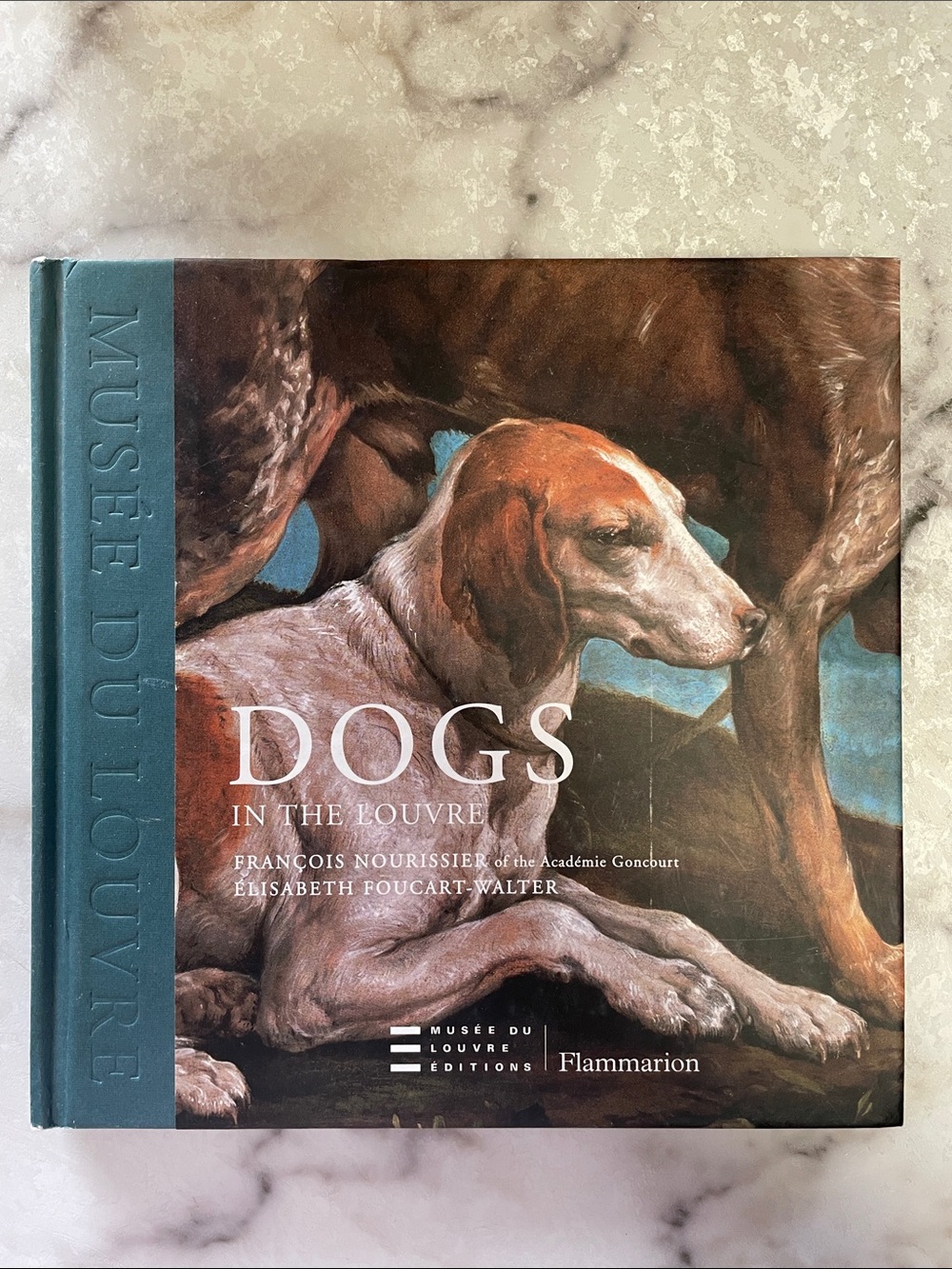 Dogs in the Louvre Hardcover Book - Teal/Brown